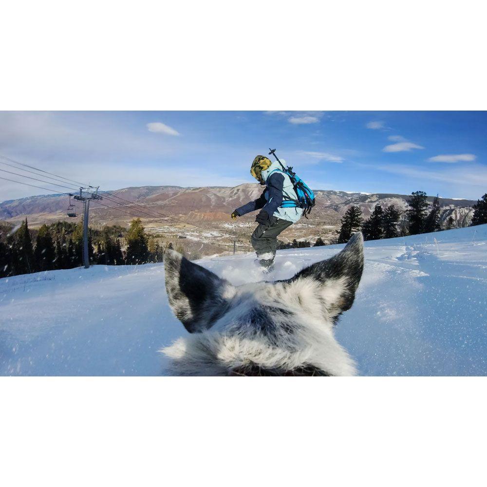 Arnes para perros GoPro ADOGM-001 Fetch dog-6