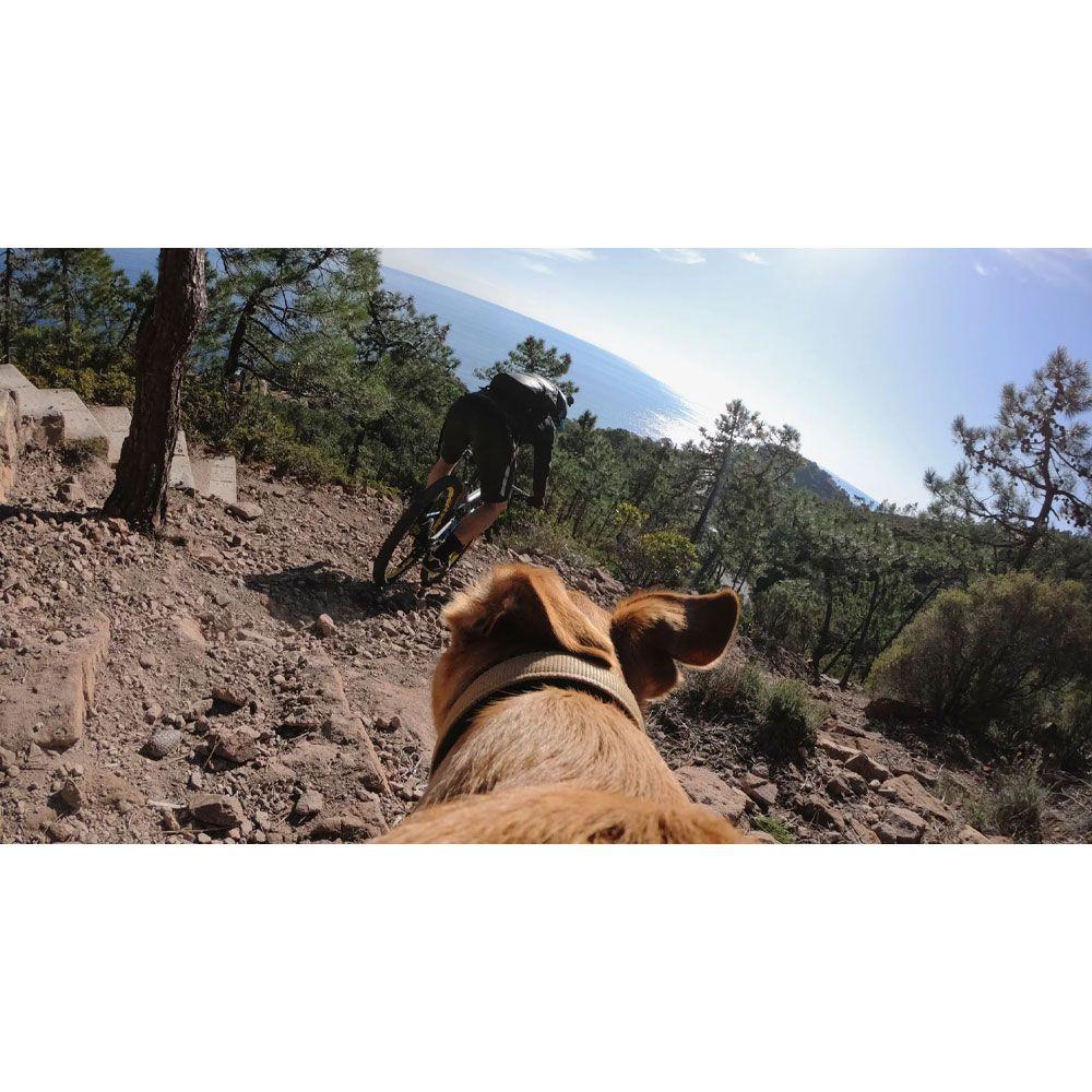 Arnes para perros GoPro ADOGM-001 Fetch dog-7