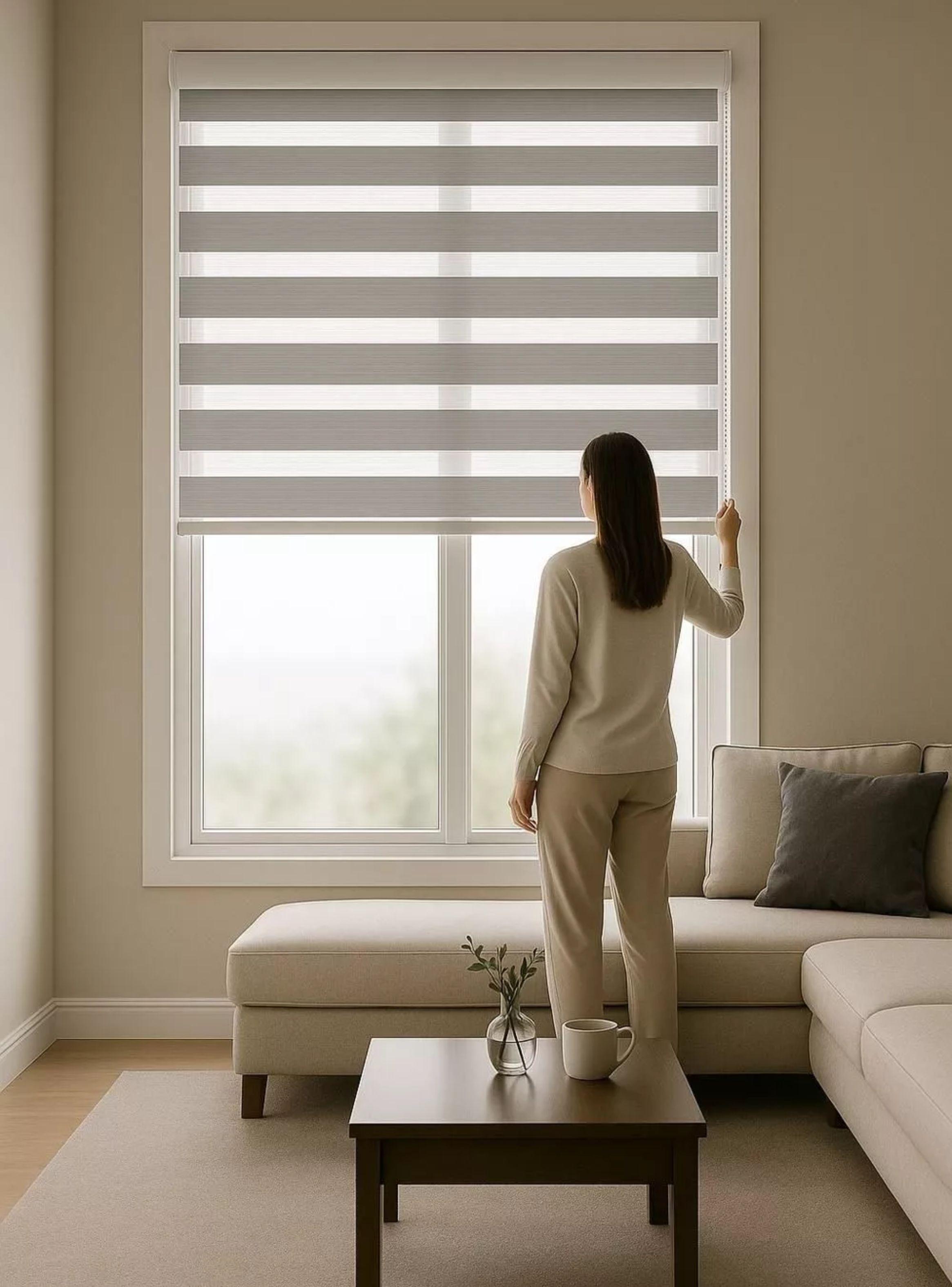 CORTINA ROLLER DUO ZEBRA DIA NOCHE 120X200 CM GRIS  TFI-4