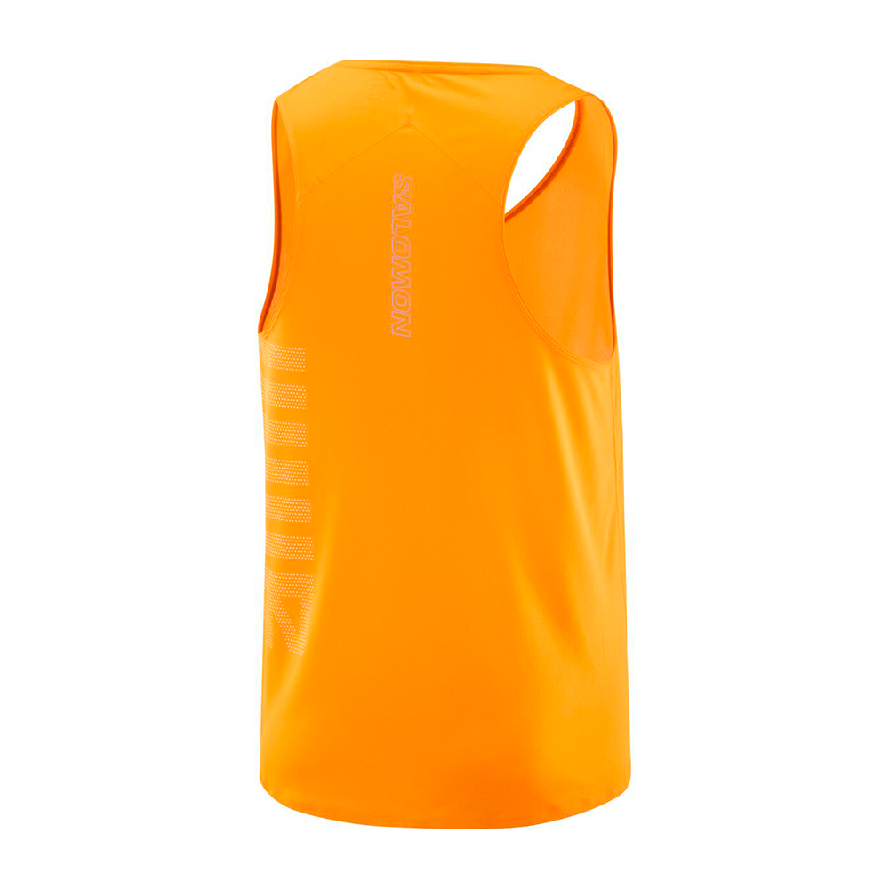 Polera Hombre Sense Aero Singlet Gfx Na Salomon-2