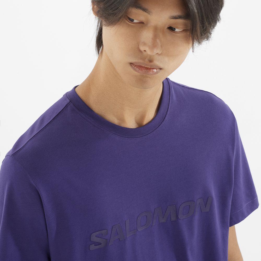 Polera Hombre Salomon Big Logo Tee M Az Salomon-2