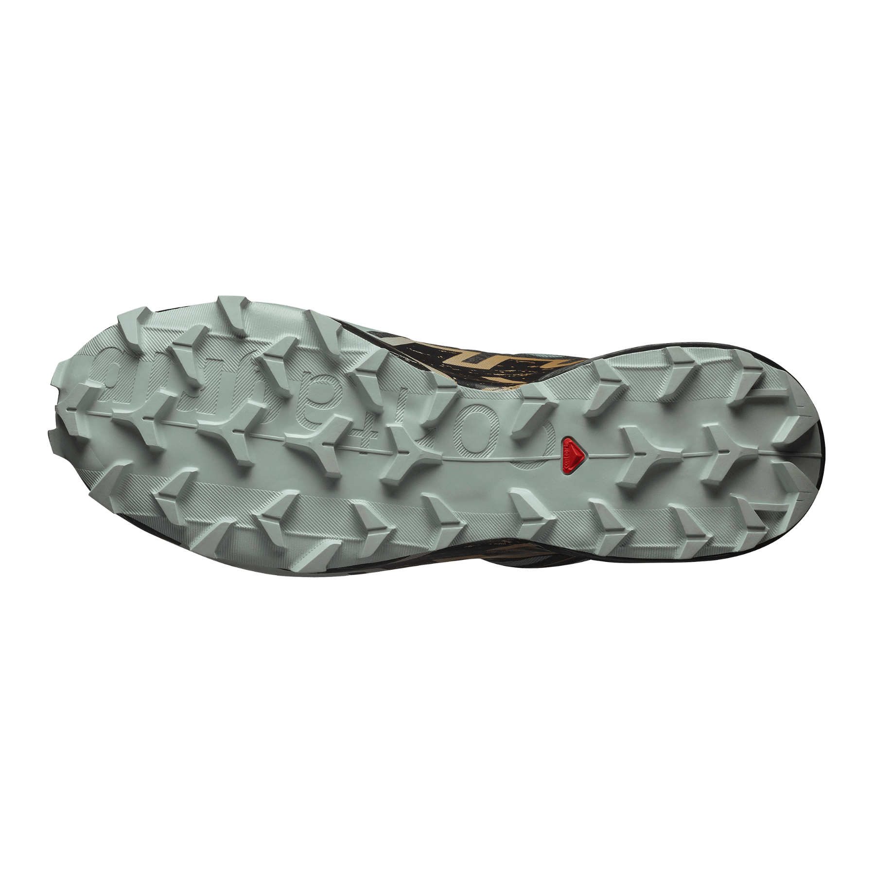 Zapatilla Hombre Speedcross 6 Gore-Tex Tr Salomon-5