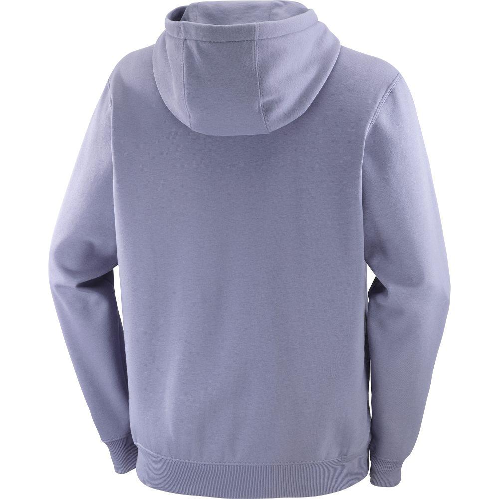 Poleron Hombre Salomon Logo Hoodie M Az Salomon-3