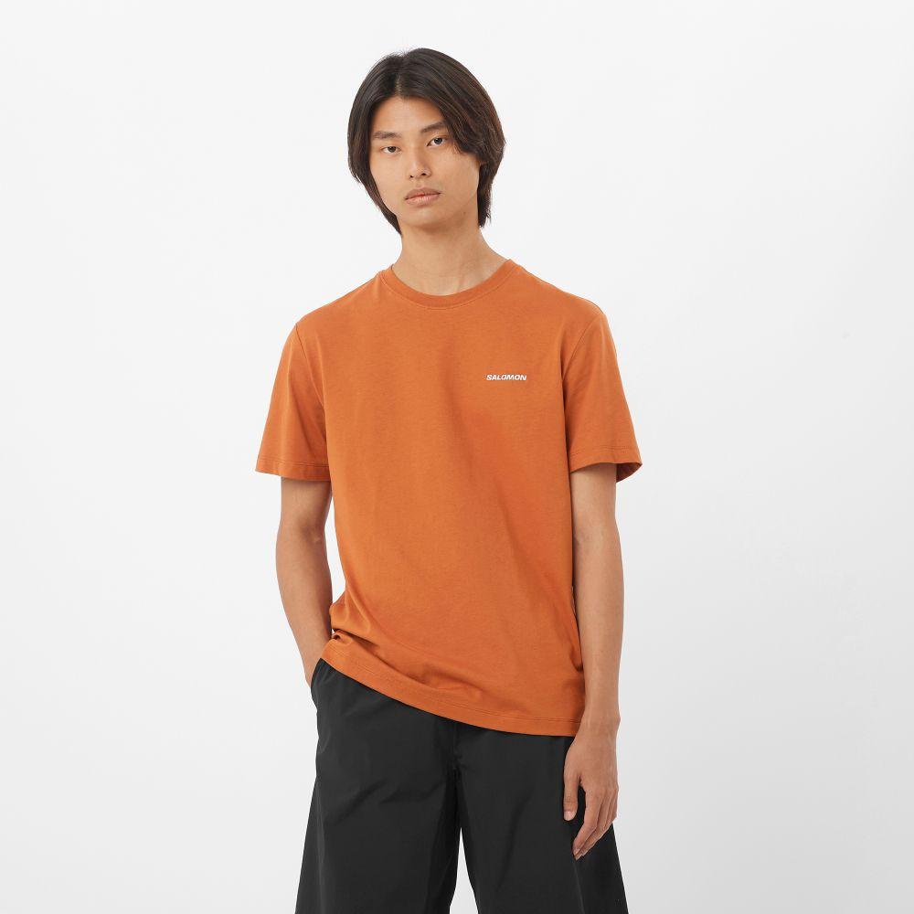 Polera Hombre Salomon Logo Tee M Na Salomon-0