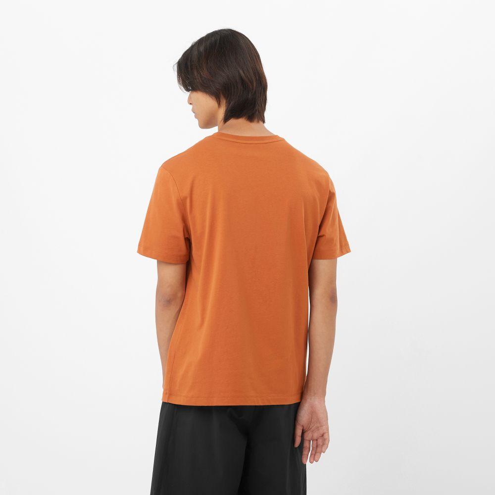 Polera Hombre Salomon Logo Tee M Na Salomon-1