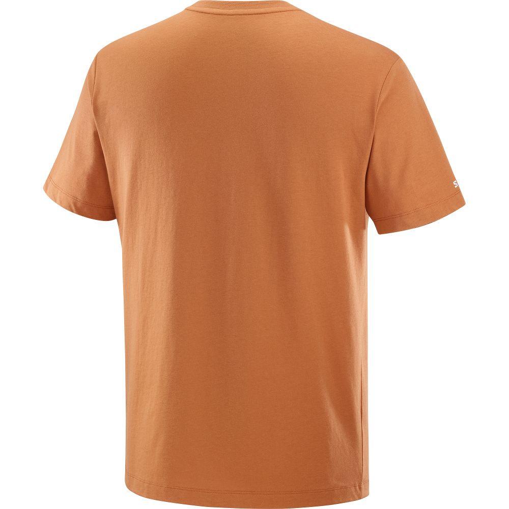 Polera Hombre Salomon Logo Tee M Na Salomon-3