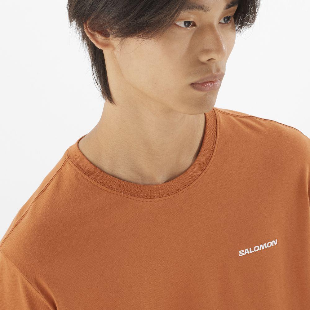 Polera Hombre Salomon Logo Tee M Na Salomon-4