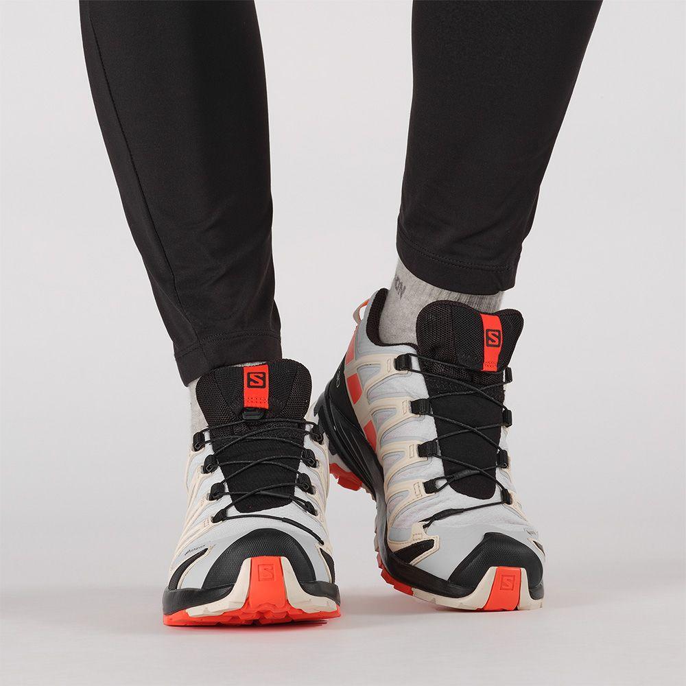 Zapatilla Mujer Xa Pro 3D V8 Gtx W Gris Salomon-3