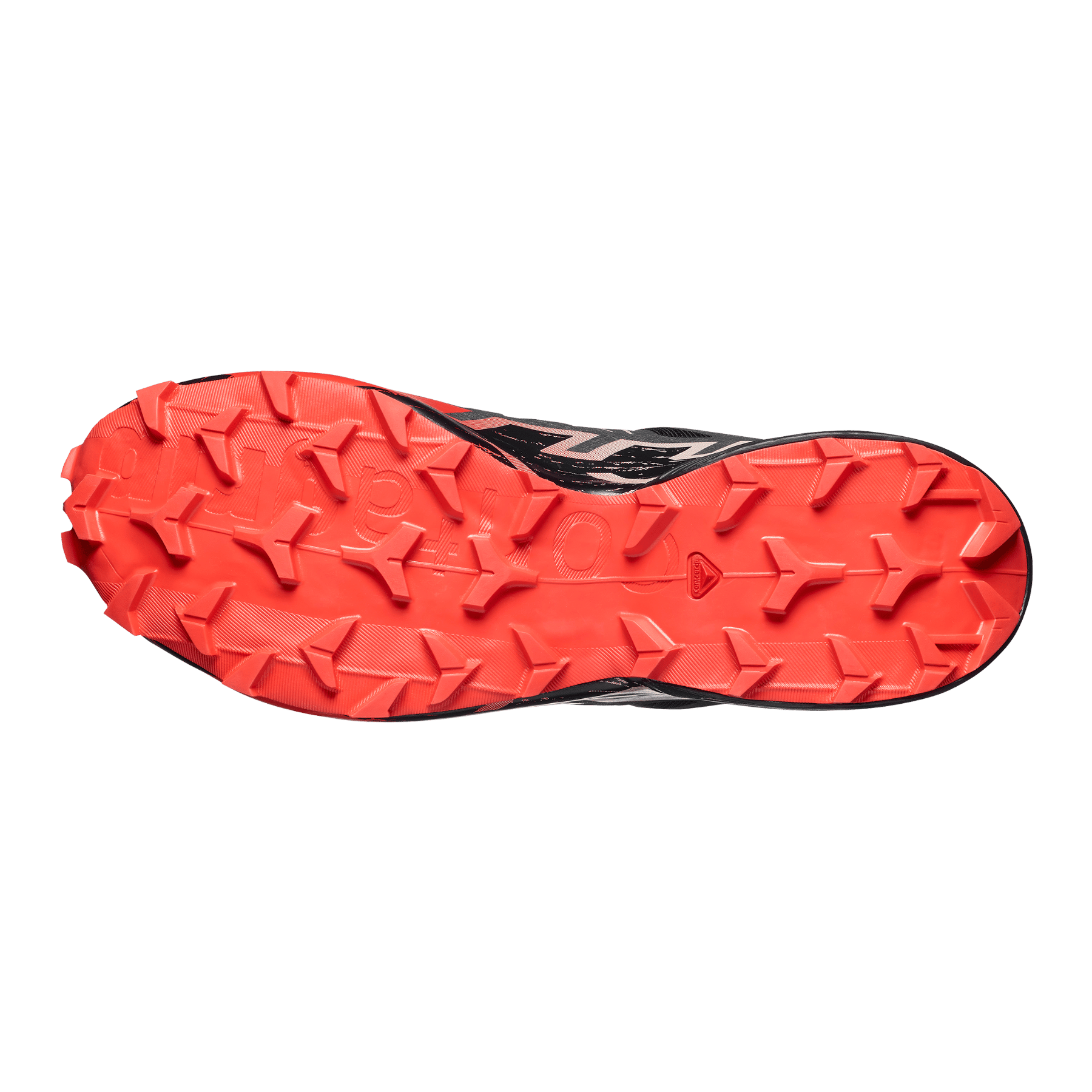 Zapatilla Hombre Speedcross 6 Gore-Tex Bl Salomon-5