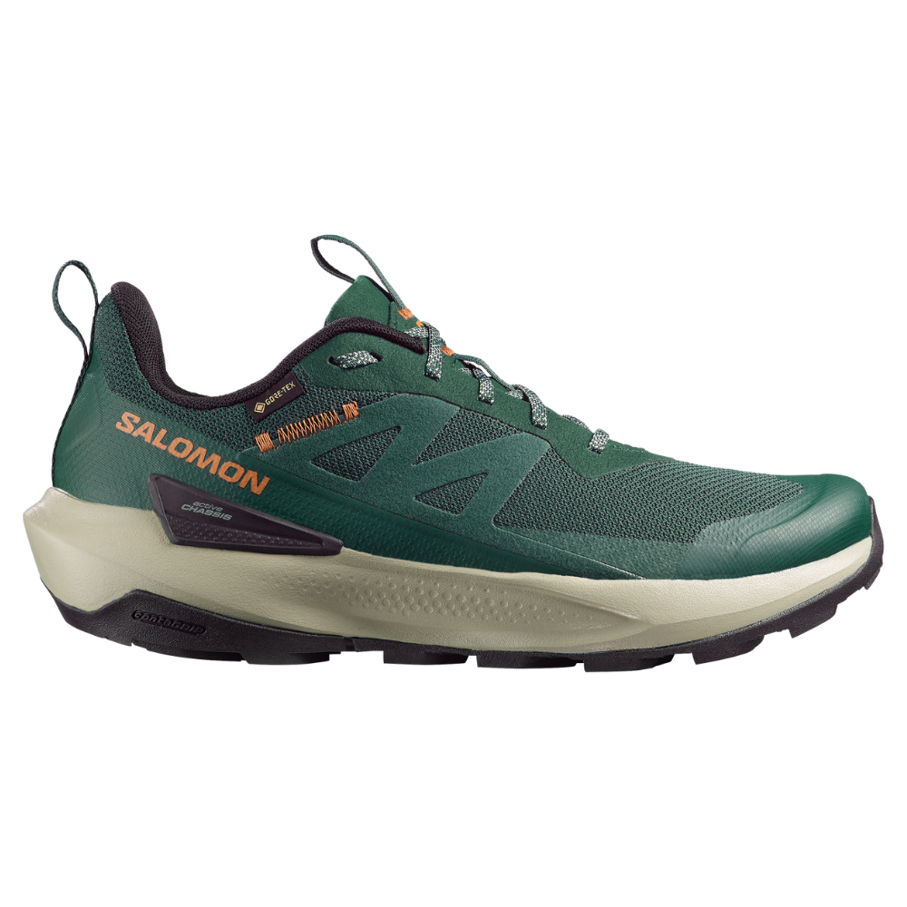 Zapatilla Hombre Elixir Activ Gore-Tex Sc Salomon-0