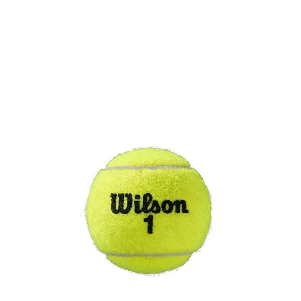 Pelota Roland Garros Clay Ct 4 Ball Wilson-2
