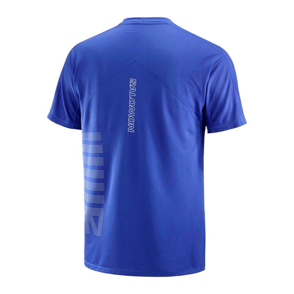 Polera Hombre Sense Aero Ss Tee Gfx M Az Salomon-2