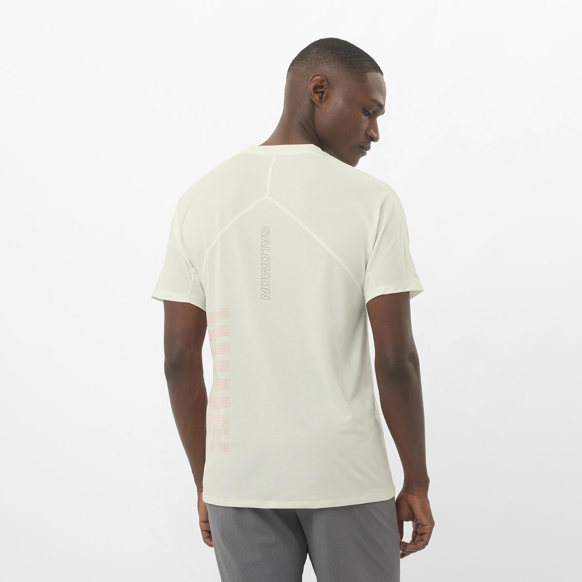 Polera Hombre Sense Aero Ss Tee Gfx M Cr Salomon-1
