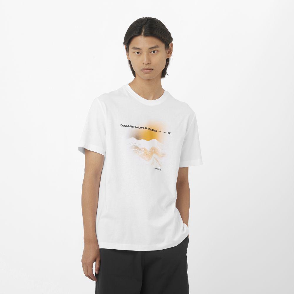 Polera Hombre Gts Ss Tee M Bl Salomon-0