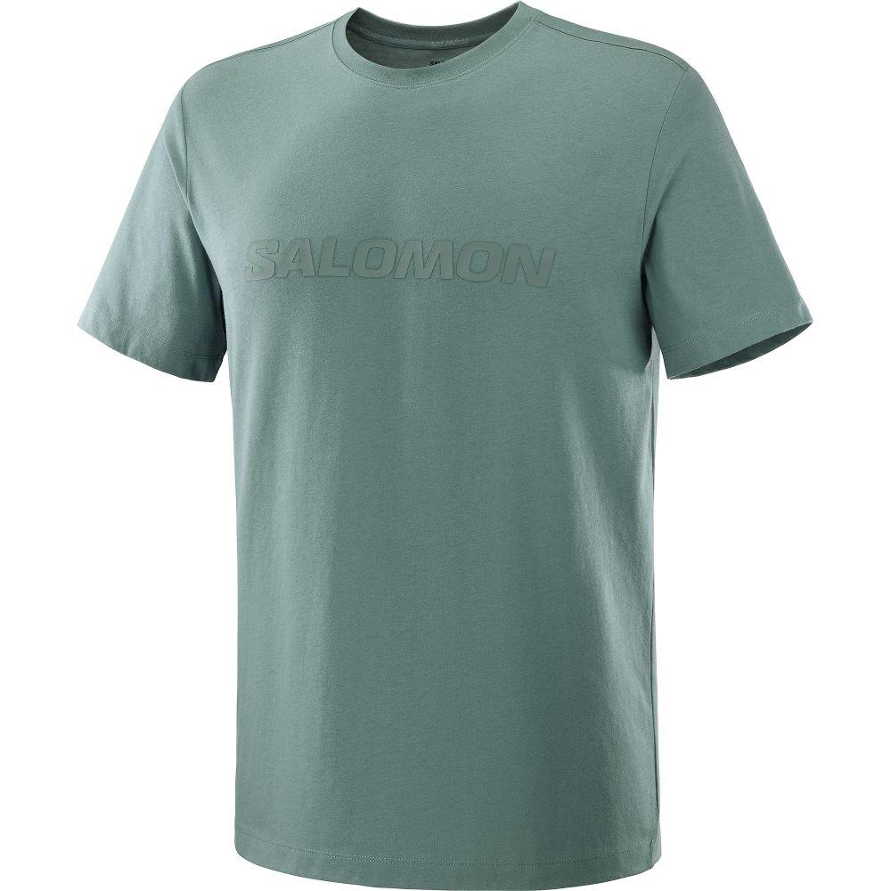 Polera Hombre Salomon Big Logo Tee M Ve Salomon-2