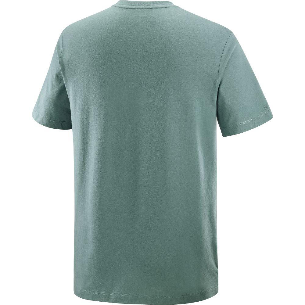 Polera Hombre Salomon Big Logo Tee M Ve Salomon-3