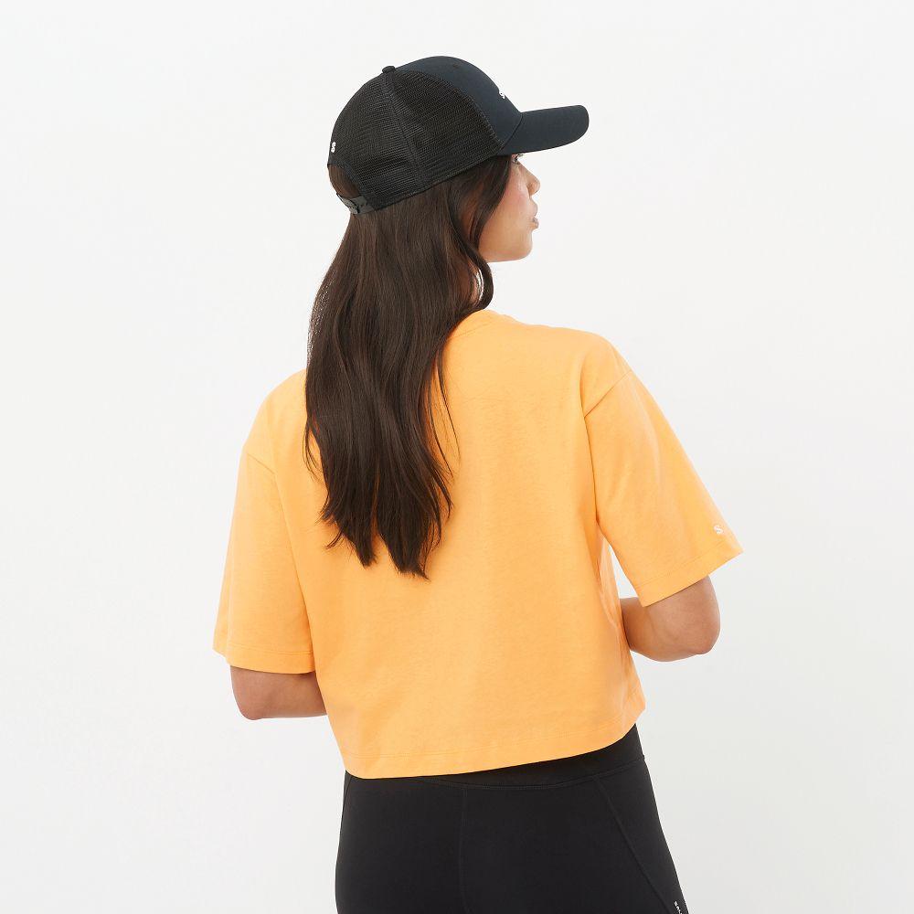 Polera Mujer Salomon Logo Short Tee W Na Salomon-1