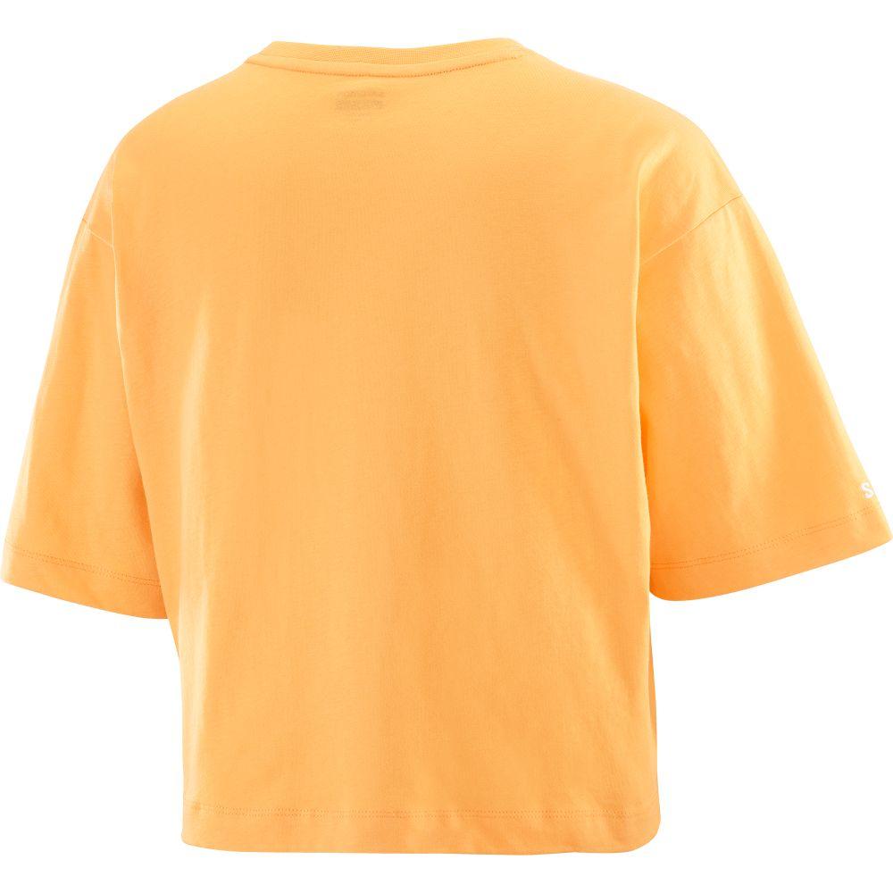 Polera Mujer Salomon Logo Short Tee W Na Salomon-3