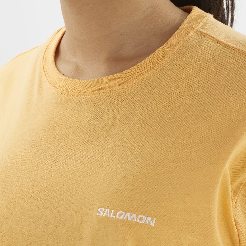 Polera Mujer Salomon Logo Short Tee W Na Salomon-4