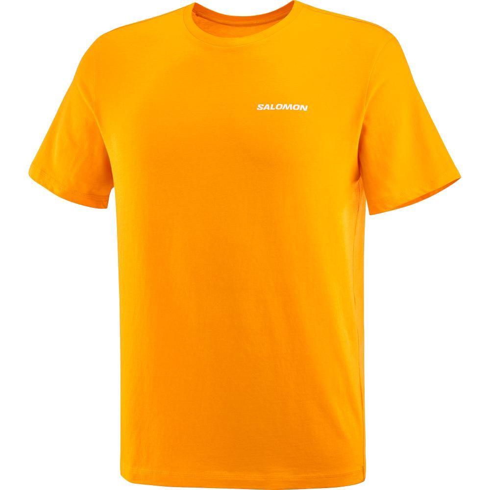 Polera Hombre Graphic Perf Ss Tee M Na Salomon-0