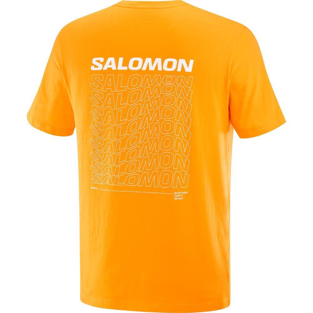Polera Hombre Graphic Perf Ss Tee M Na Salomon-1