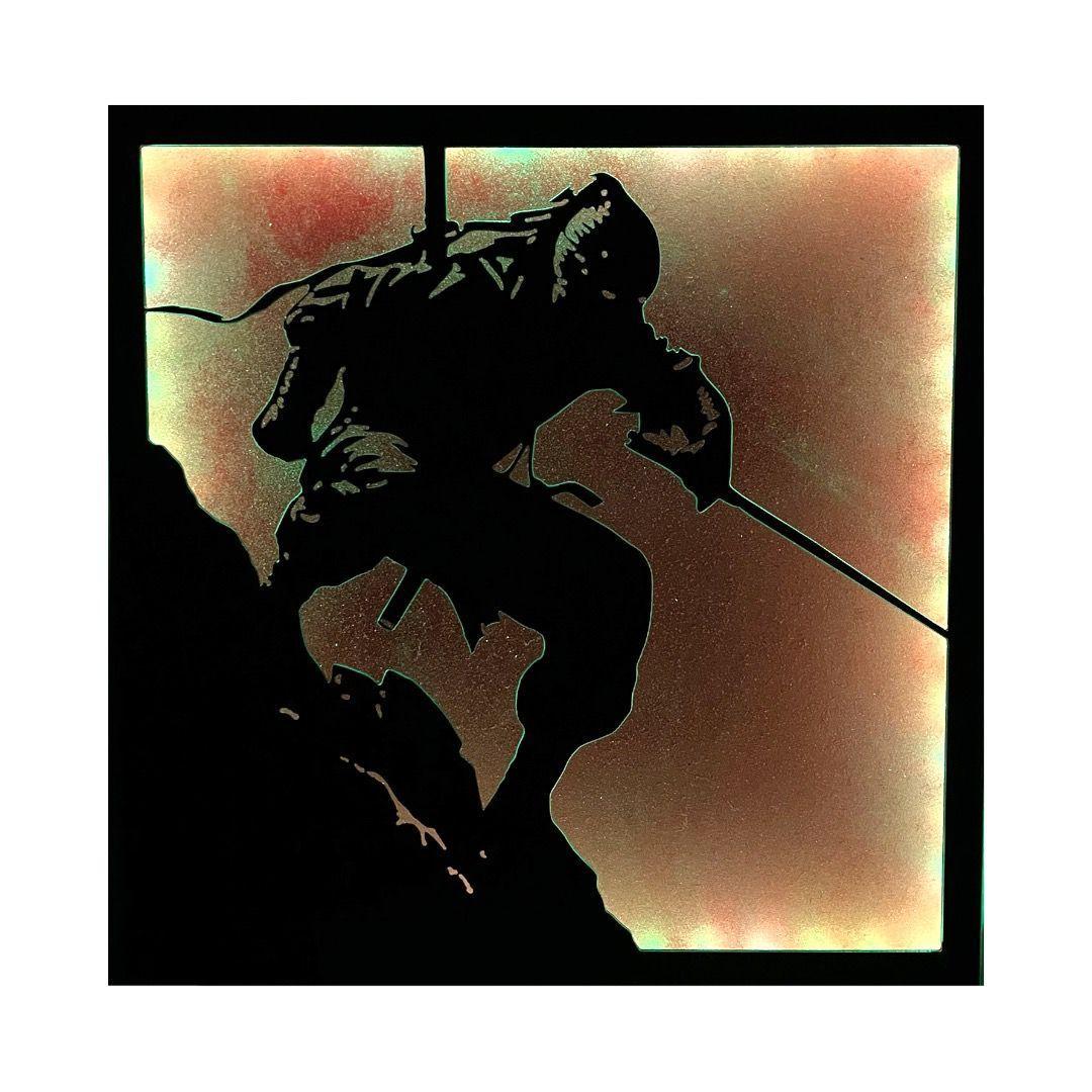 Cuadro Retroiluminado modelo Ninja-3
