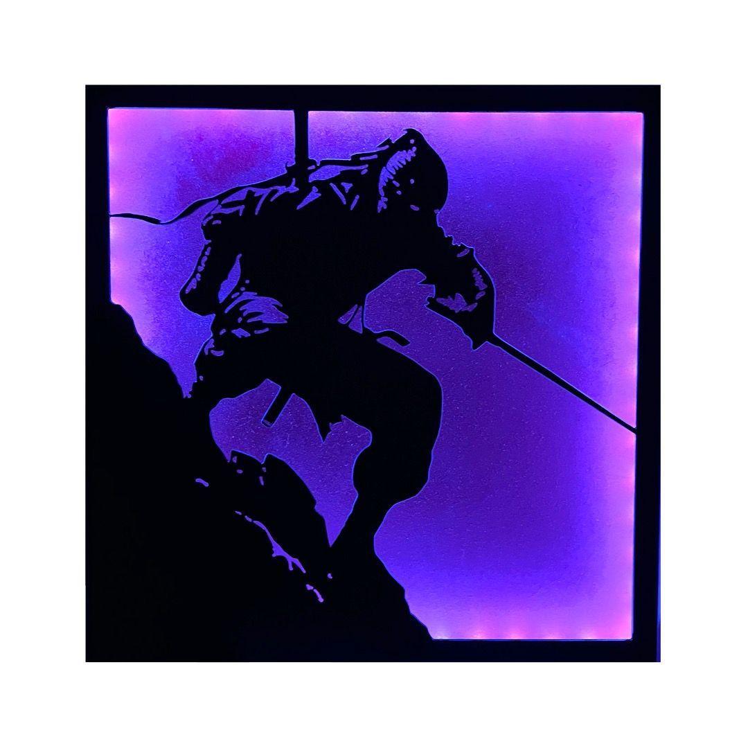 Cuadro Retroiluminado modelo Ninja-4