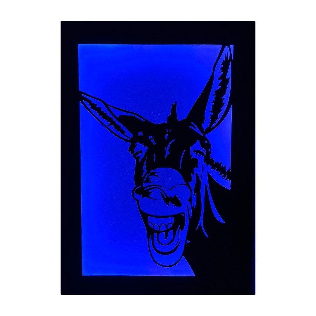 Cuadro Retroiluminado modelo Burro-5
