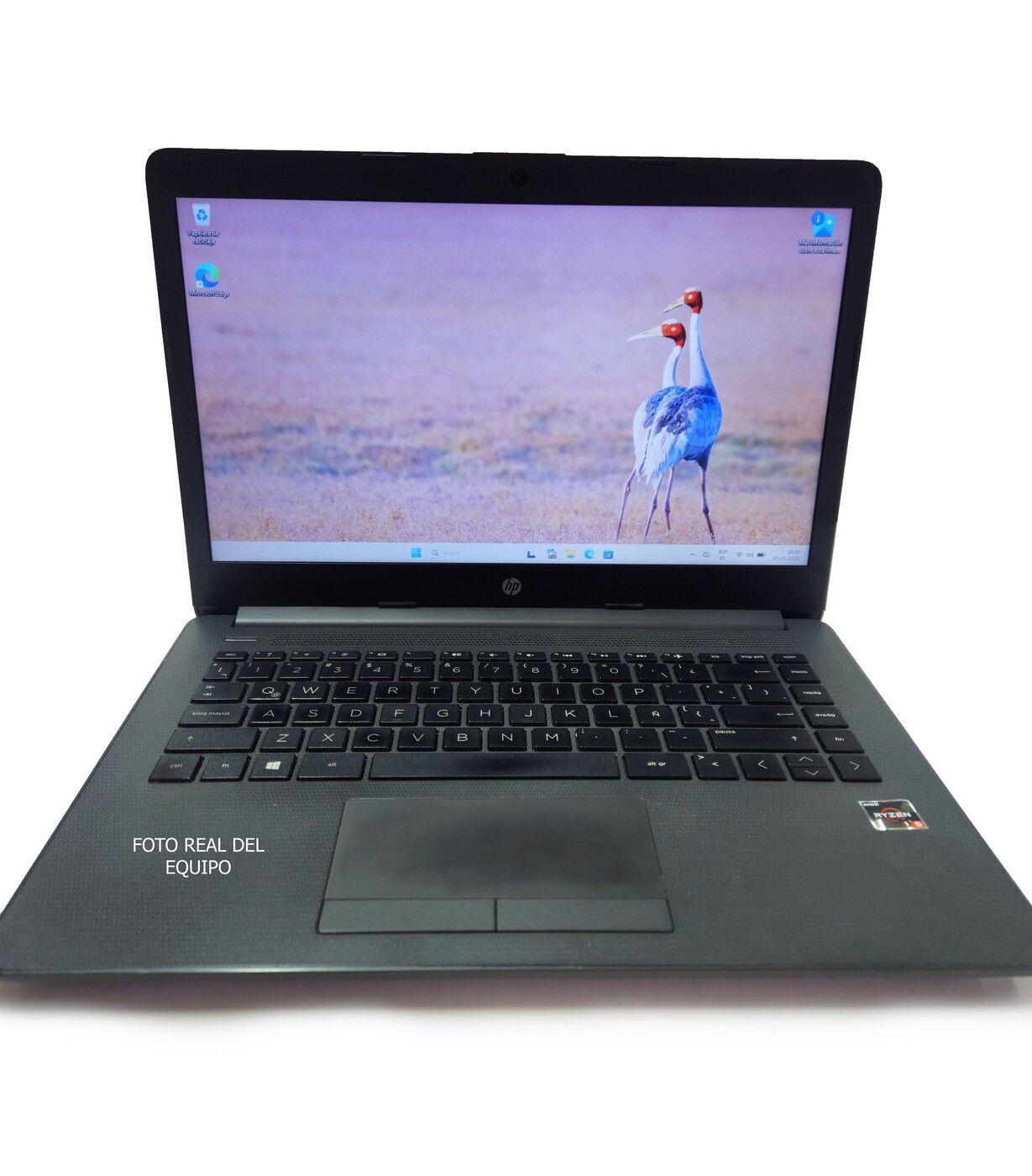 NOTEBOOK 245 G7 AMD RYZEN 5 2500U 8 GB RAM 256 GB SSD 1 TB HDD REACONDICIONADO-0