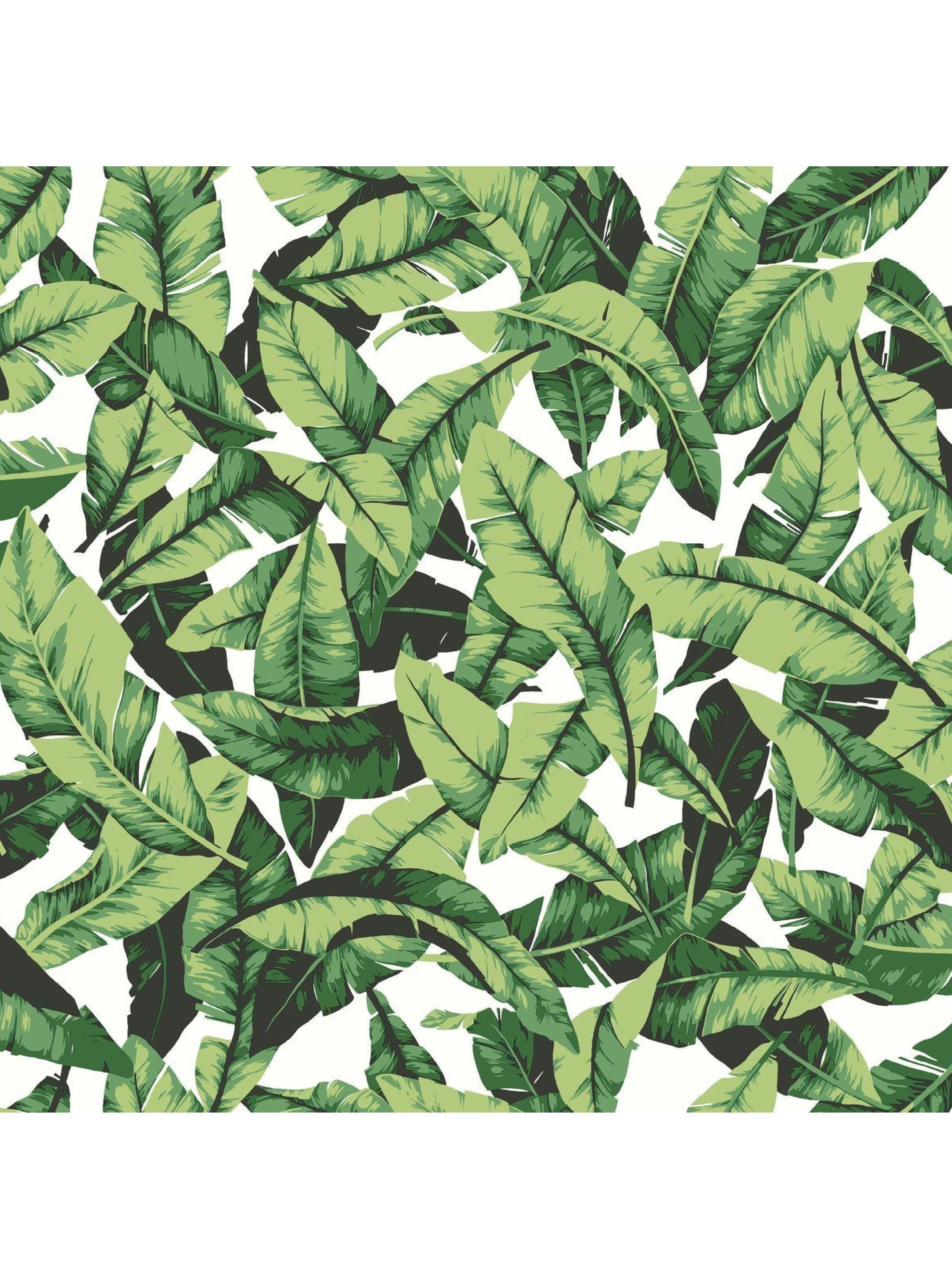 Roommates PVC Autoadhesivo Palm Leaf Green (B6767721)-1