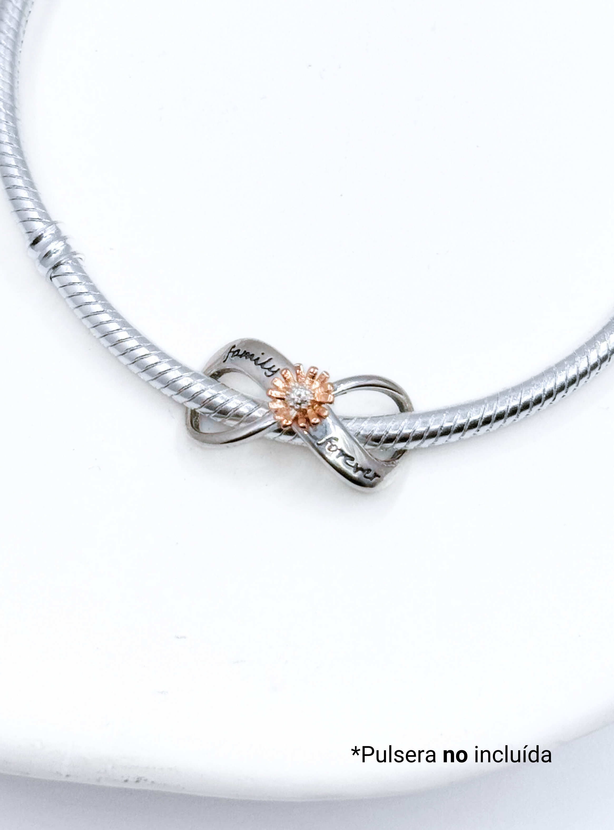 Charm Infinito "Family Forever" y Flor para Pulsera en Plata 925, Regalo Familia, Mamá, Hermana-5