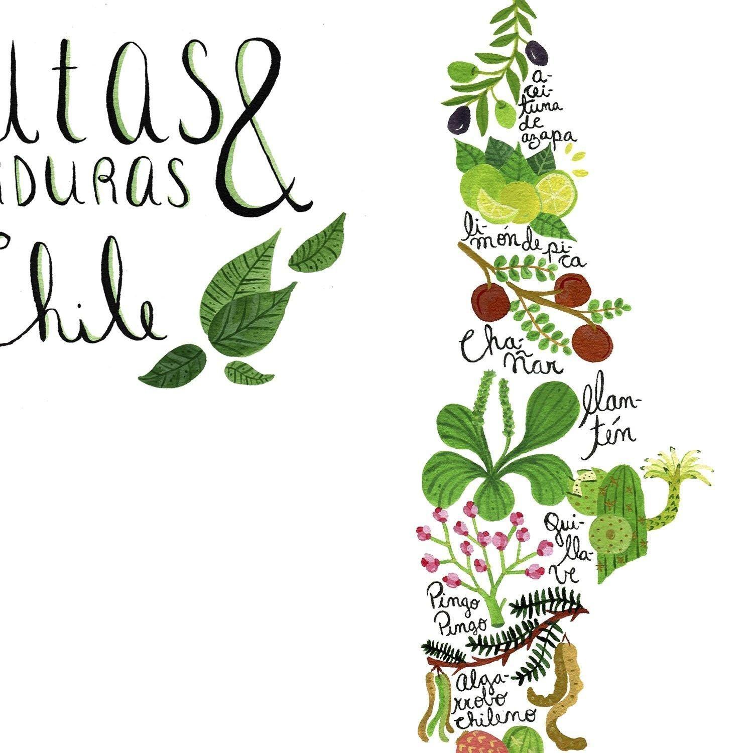 Mapa de Chile con Frutas y Verduras - Lámina-1