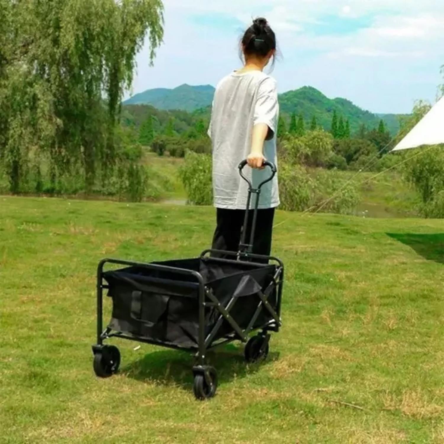Carrito Para Compras Plegable Ideal Para El Camping Negro-3