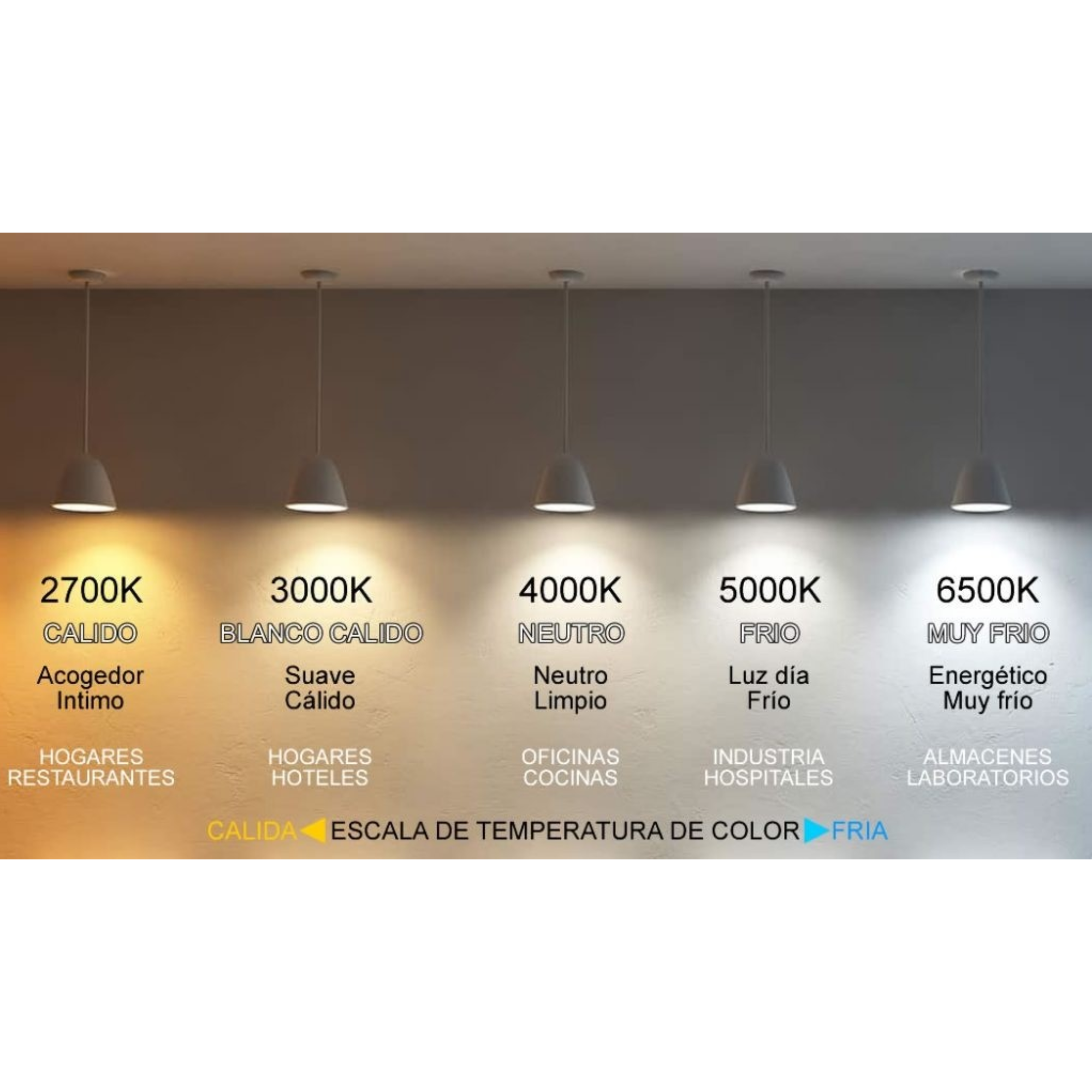 12 Focos Panel Led 6W Redondo Embutido 220V Luz Fría-5