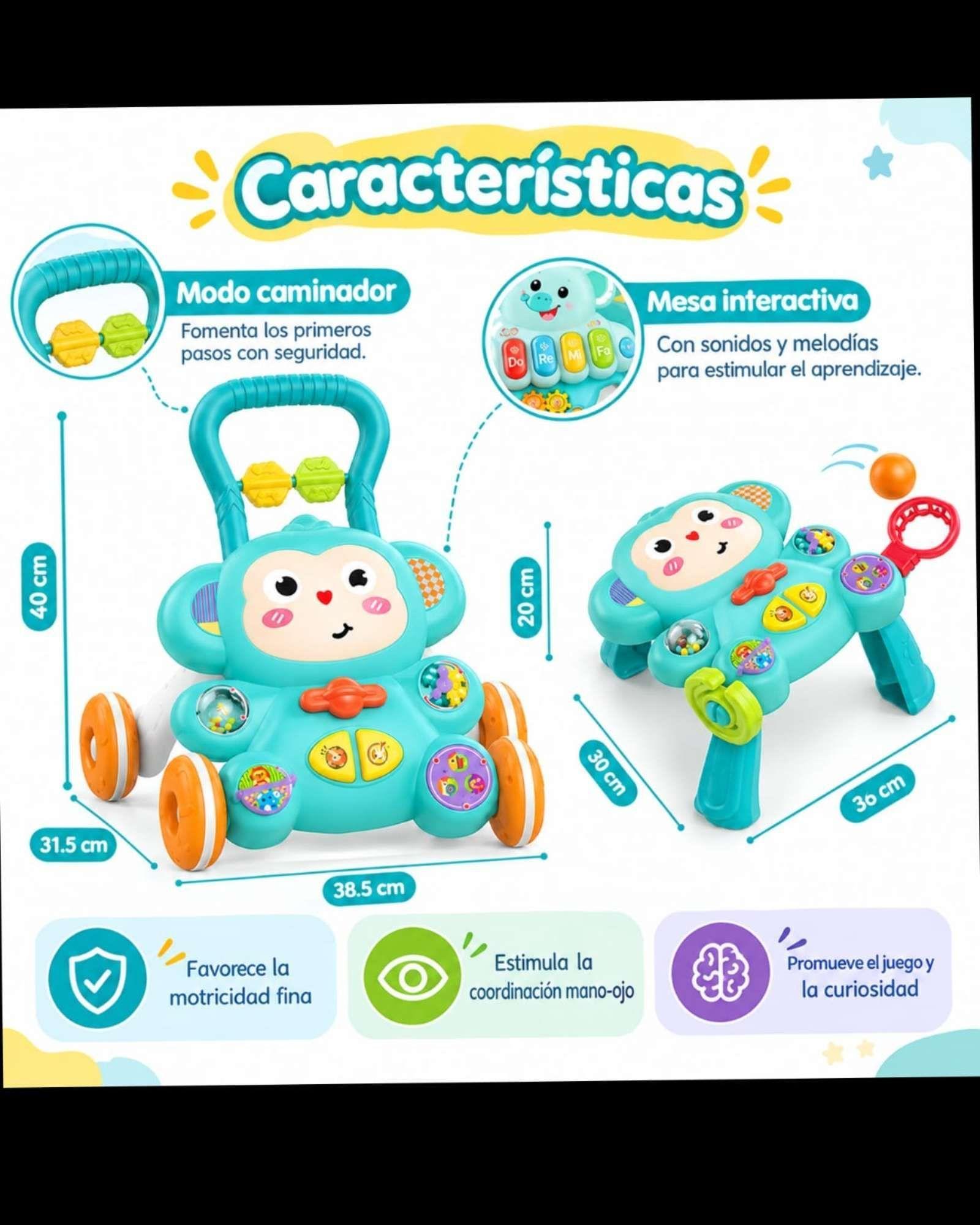 Andador y Mesa de Actividades Didáctica 2 en 1 -4