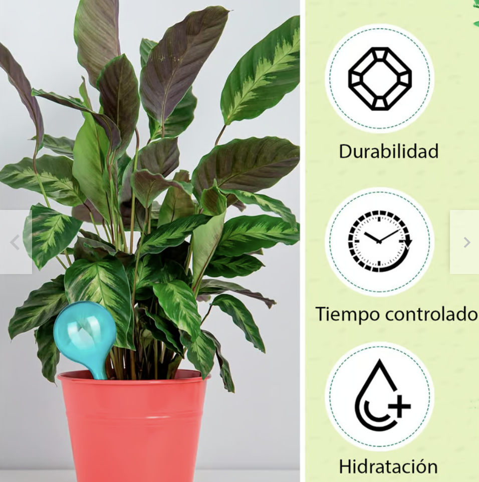 Riego Automático por goteo para plantas - Pack de 5 bombillas 13x5-3