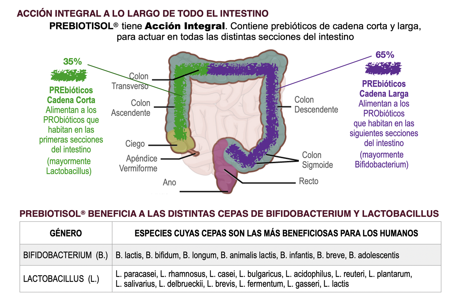 Prebótico Prebiotisol 150 g.-2