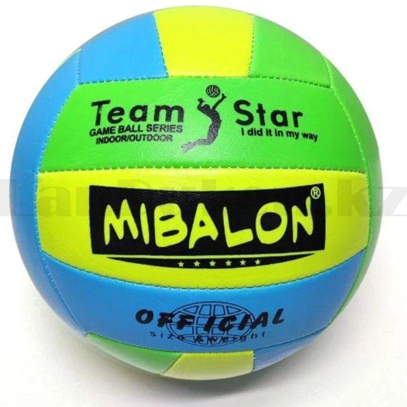 Pelota Mibalon Volleyball multicolores-2