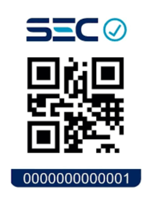 cargador para auto entrada Iphone-2