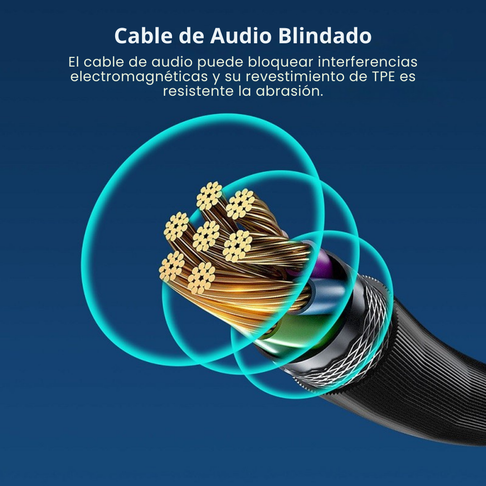 Micrófono Profesional Tipo-C para Cámaras Insta360 X2 X3-4