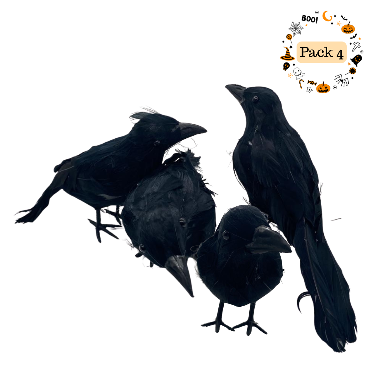 Pack 4 Cuervos Realista Emplumado Negro Halloween 2025-0