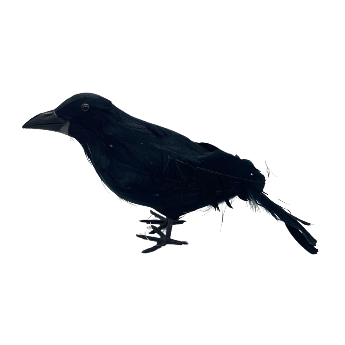 Pack 4 Cuervos Realista Emplumado Negro Halloween 2025-3