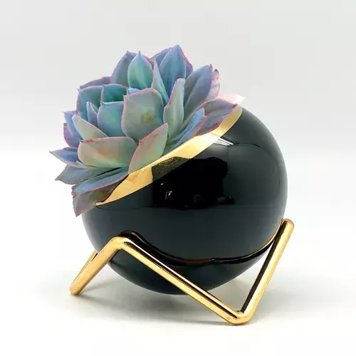 Florero Macetero Porcelana + Planta Artificial Negro-0