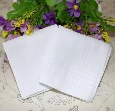 Pañuelos Blancos Para Hombre, 100% Cuadrados 12 Und Unicolor-5