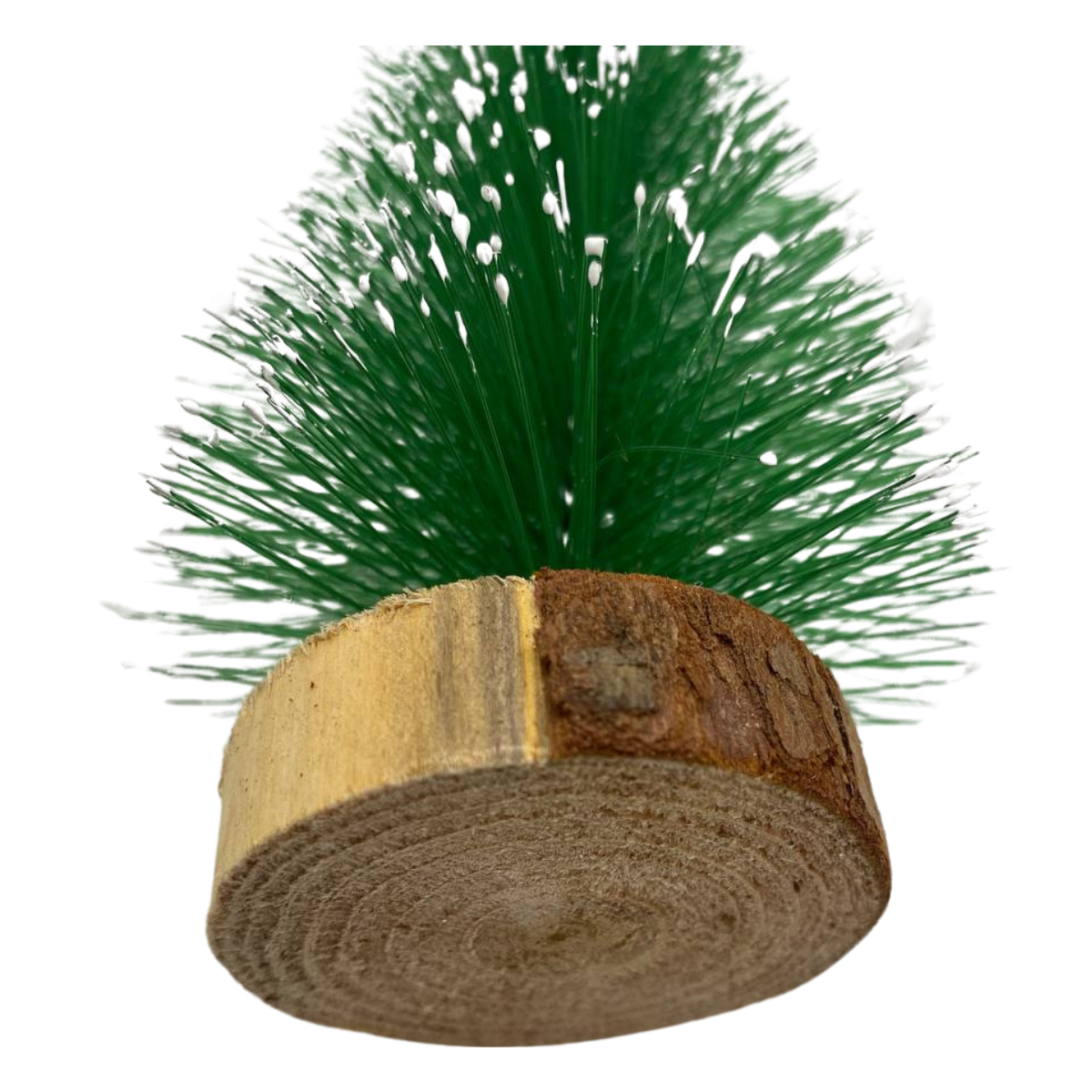 Pack 2 Minis Árbol De Navidad Cedro Verde Para Escritorio Navidad 2025-3