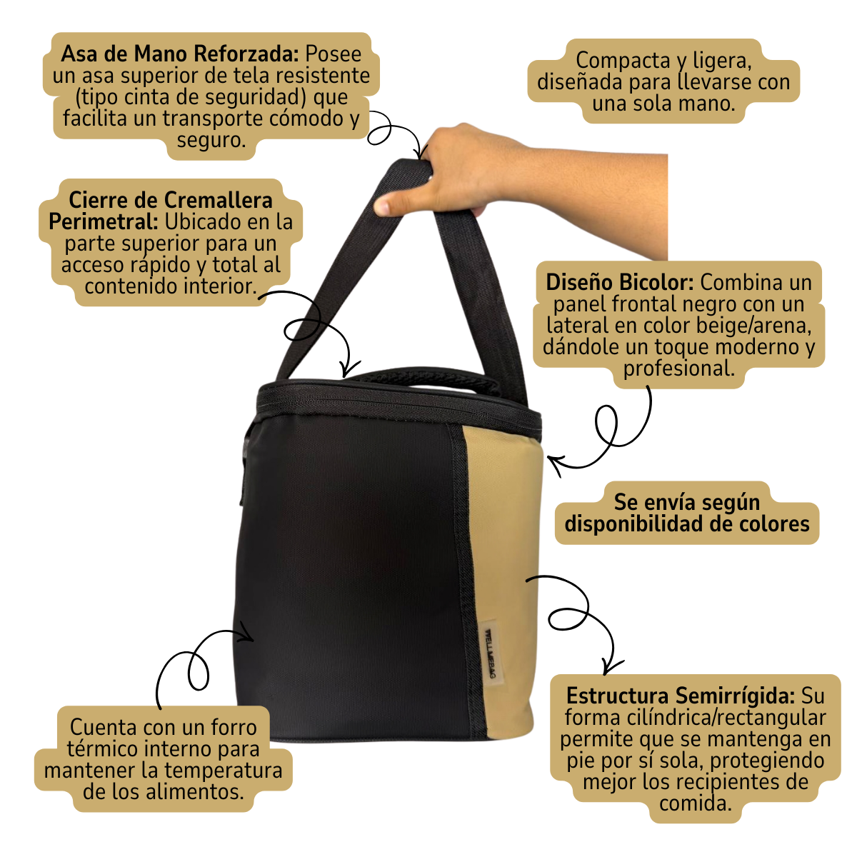 Bolso Térmico Lonchera Ejecutiva Diseño Bicolor Semirrígido-4