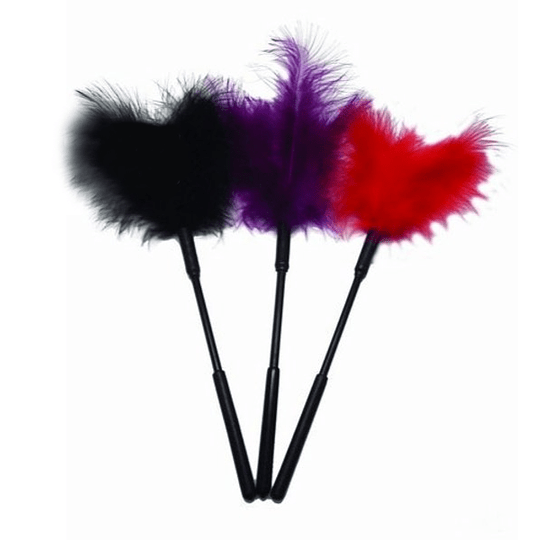 Pluma Traviesa Unidad-0