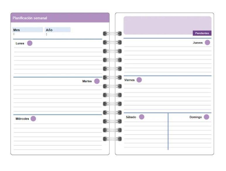 Agenda Profesora + Taza + Libreta Notas Docente-5