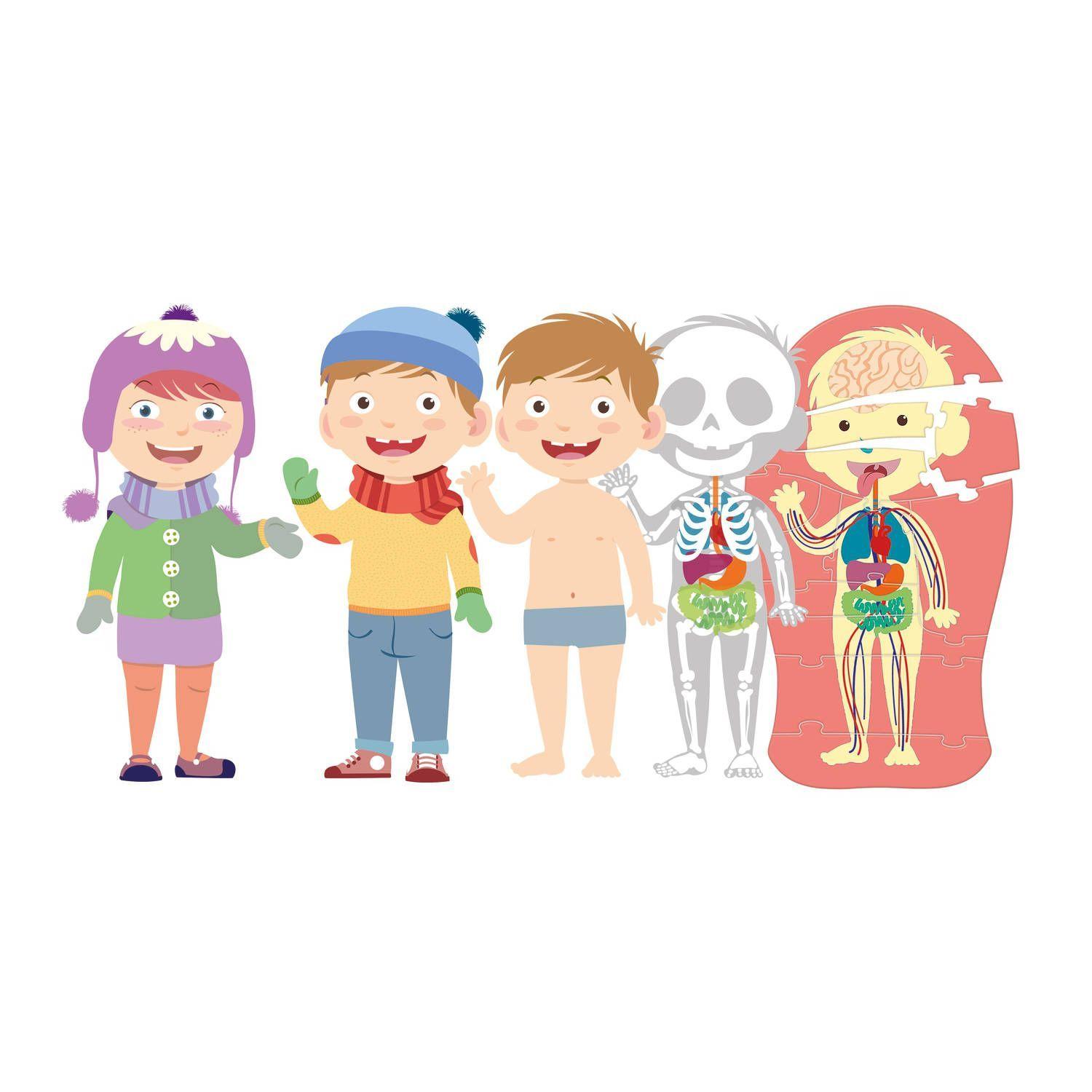 Juego Educativo El Cuerpo Humano-2