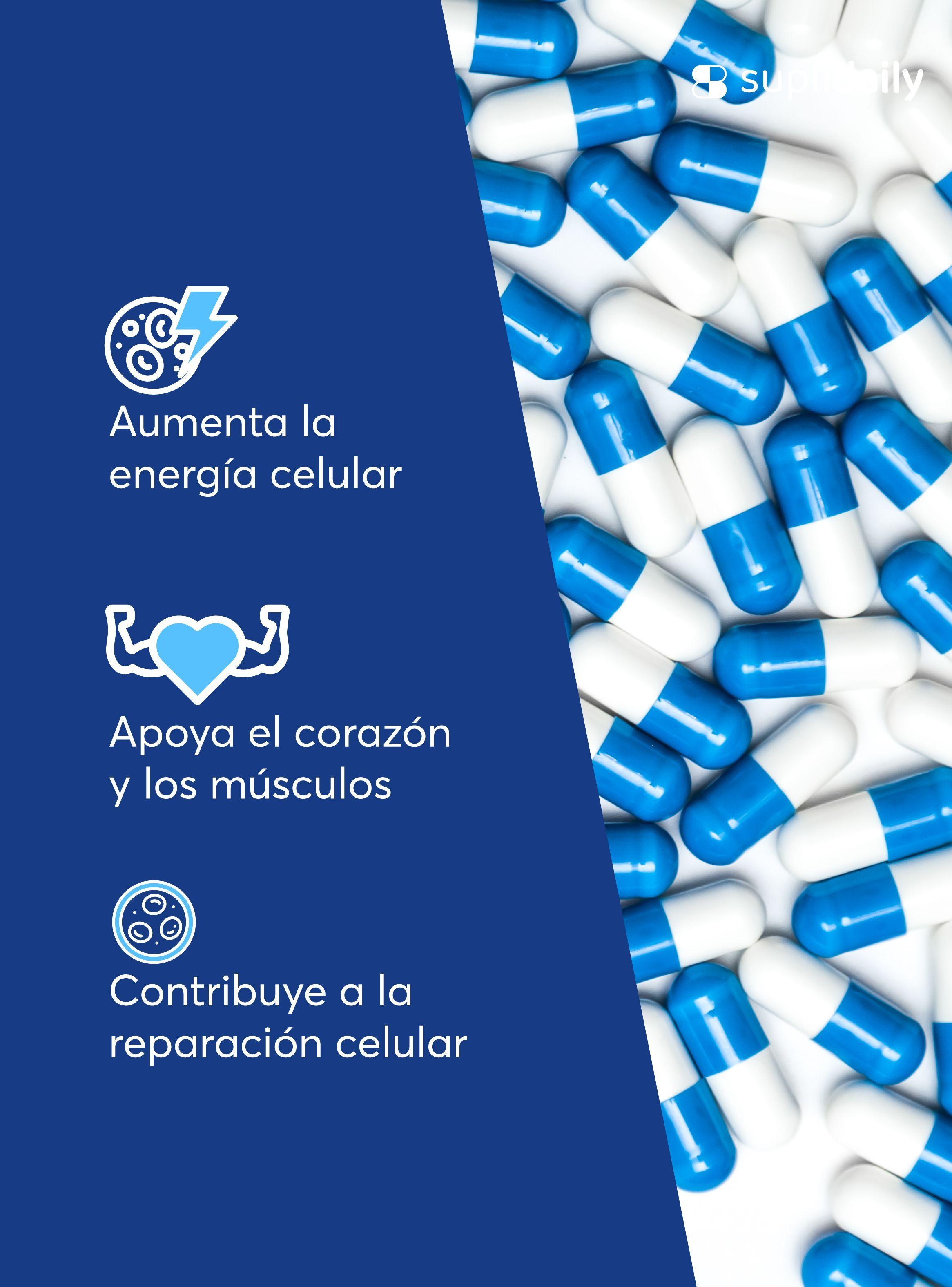 Nad + Resveratrol Suplemento 1000 Mg 90 Capsulas Premium SupliDaily-3